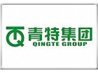 qingte group